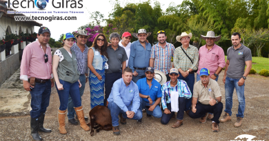 Gira Ganadera Genética Bovina Colombiana 2015 Gira Ganadera Genética Bovina Colombiana 2015