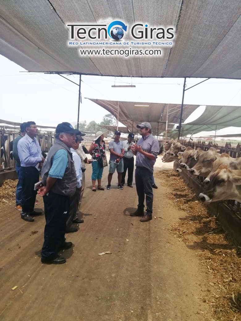Sequion Pasantía Ganadera Lima 2019 – Tecnogiras