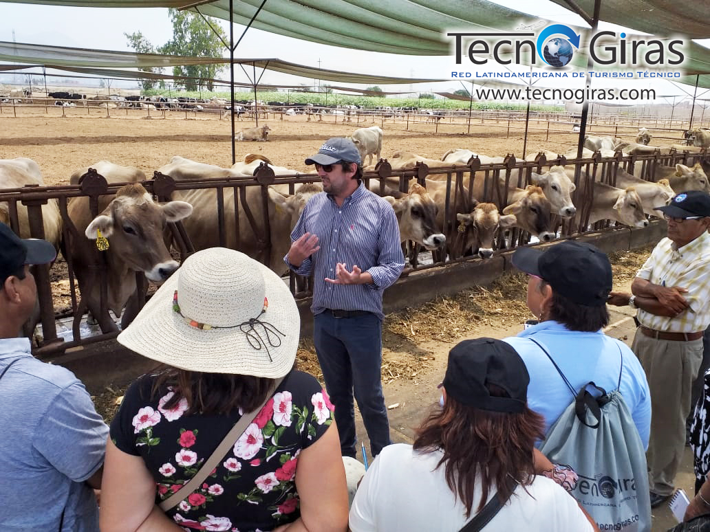 Sequion Pasantía Ganadera Lima 2019 – Tecnogiras